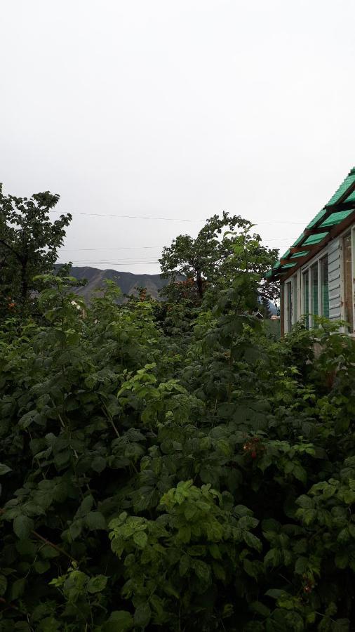 Nurgul Hotel Bokonbayevo Exterior photo